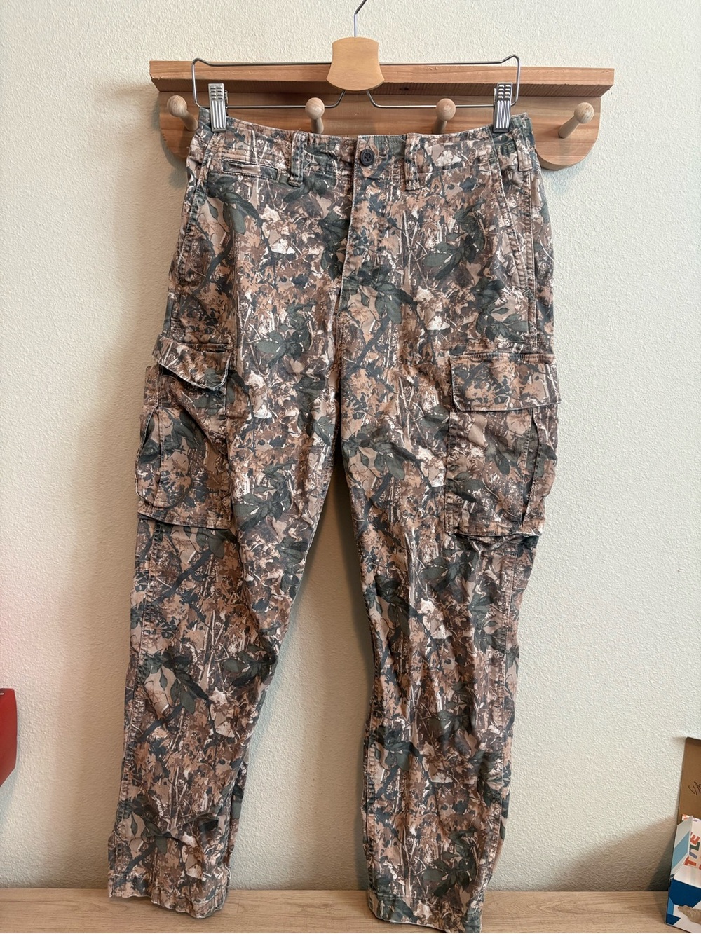 American Eagle Outfitters Men's Camo Cargo Pants - Brown & Green